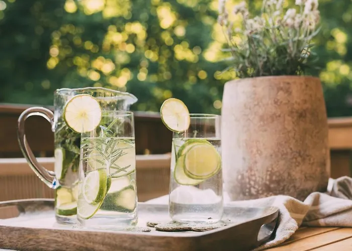 Hideaway Alpi * 그라이나우