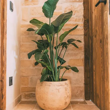 Apartman Hideaway Alpi